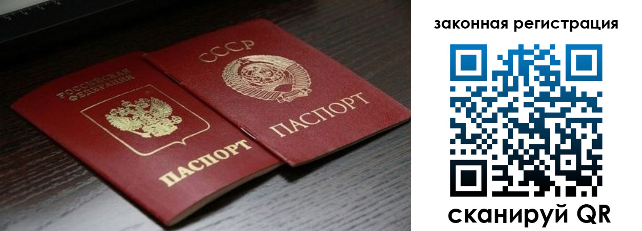 прописка поиск в Шатуре